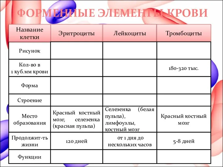 Кол-во в 1 куб.мм крови Эритроциты Лейкоциты Тромбоциты Форма Строение Место