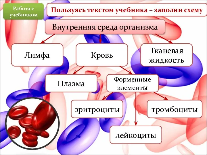 Внутренняя среда организма Лимфа Кровь Тканевая жидкость Плазма Форменные элементы тромбоциты