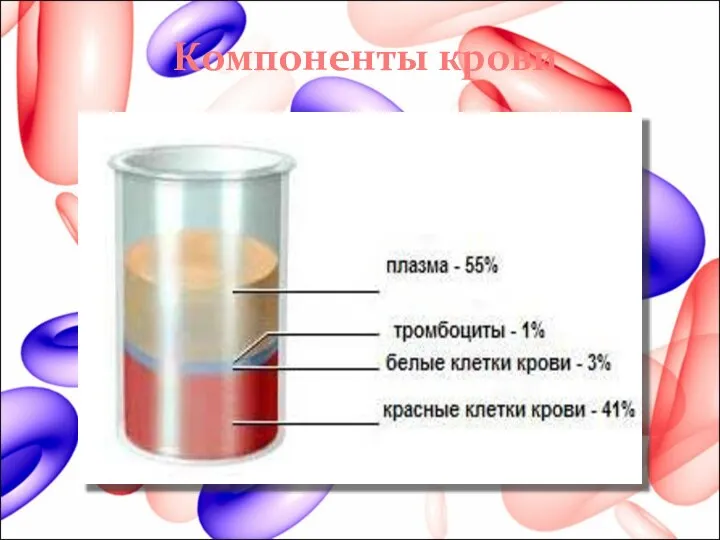 Компоненты крови