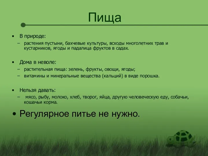 Пища В природе: растения пустыни, бахчевые культуры, всходы многолетних трав и