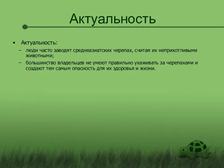 Актуальность Актуальность: люди часто заводят среднеазиатских черепах, считая их неприхотливыми животными;