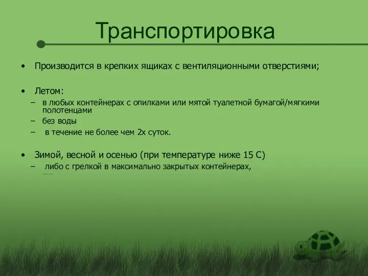 Транспортировка Производится в крепких ящиках с вентиляционными отверстиями; Летом: в любых