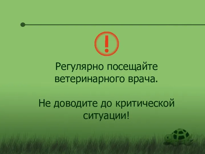 Регулярно посещайте ветеринарного врача. Не доводите до критической ситуации!