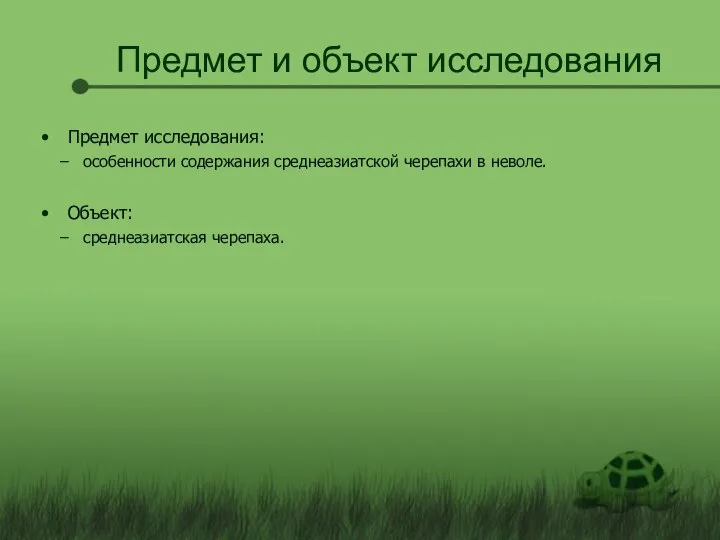 Предмет и объект исследования Предмет исследования: особенности содержания среднеазиатской черепахи в неволе. Объект: среднеазиатская черепаха.