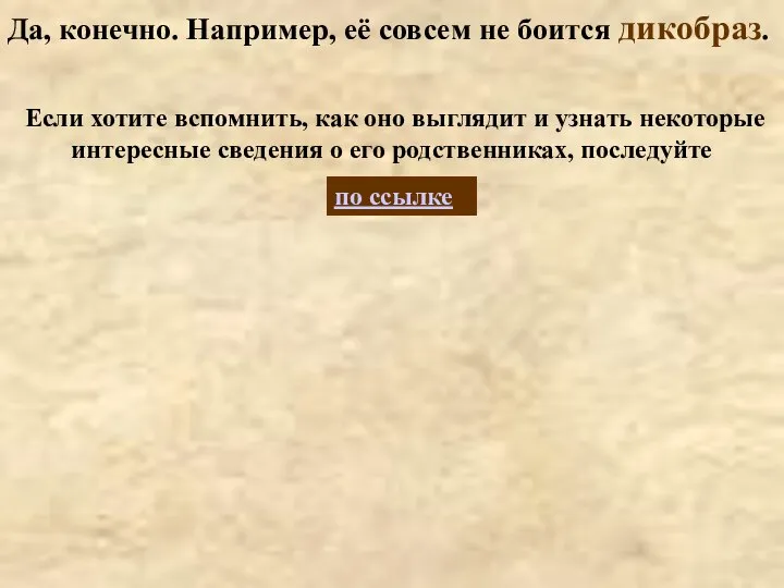 Да, конечно. Например, её совсем не боится дикобраз. по ссылке Если