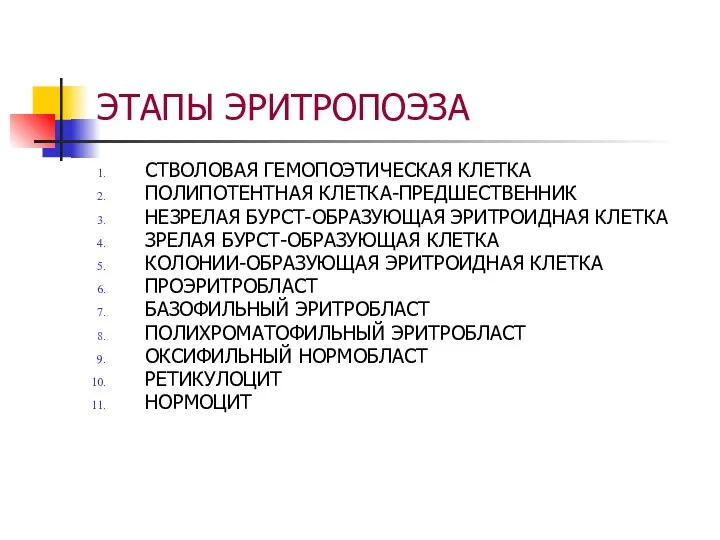 ЭТАПЫ ЭРИТРОПОЭЗА СТВОЛОВАЯ ГЕМОПОЭТИЧЕСКАЯ КЛЕТКА ПОЛИПОТЕНТНАЯ КЛЕТКА-ПРЕДШЕСТВЕННИК НЕЗРЕЛАЯ БУРСТ-ОБРАЗУЮЩАЯ ЭРИТРОИДНАЯ КЛЕТКА