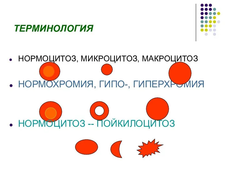 ТЕРМИНОЛОГИЯ НОРМОЦИТОЗ, МИКРОЦИТОЗ, МАКРОЦИТОЗ НОРМОХРОМИЯ, ГИПО-, ГИПЕРХРОМИЯ НОРМОЦИТОЗ -- ПОЙКИЛОЦИТОЗ