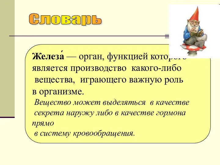 Железа́ — орган, функцией которого является производство какого-либо вещества, играющего важную