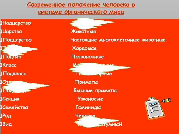 Современное положение человека в системе органического мира Надцарство Эукариоты Царство Животные