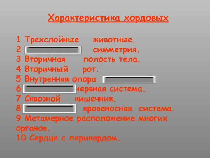 Характеристика хордовых 1 Трехслойные животные. 2 Двусторонняя симметрия. 3 Вторичная полость