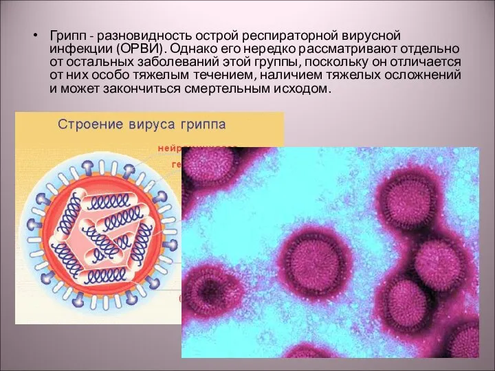 Грипп - разновидность острой респираторной вирусной инфекции (ОРВИ). Однако его нередко