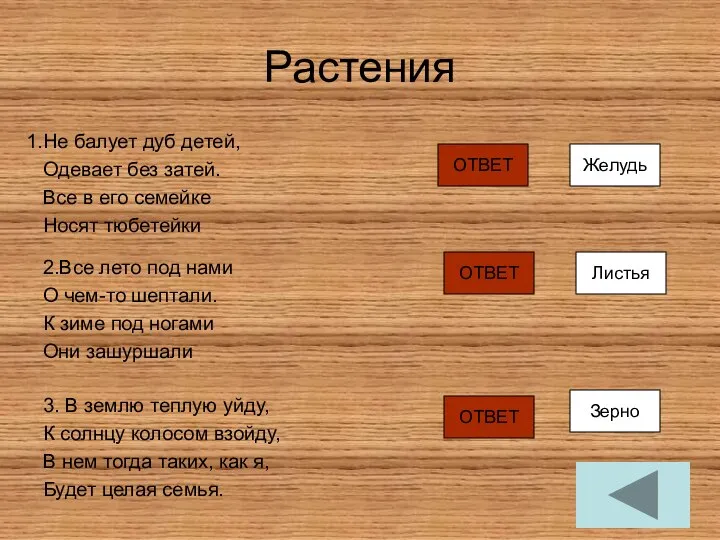 Растения Не балует дуб детей, Одевает без затей. Все в его