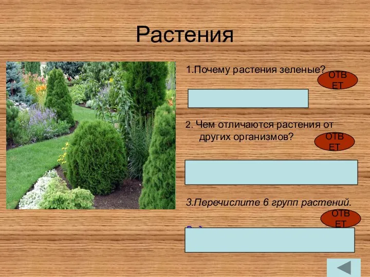 Растения 1.Почему растения зеленые? Содержат хлоропласты 2. Чем отличаются растения от