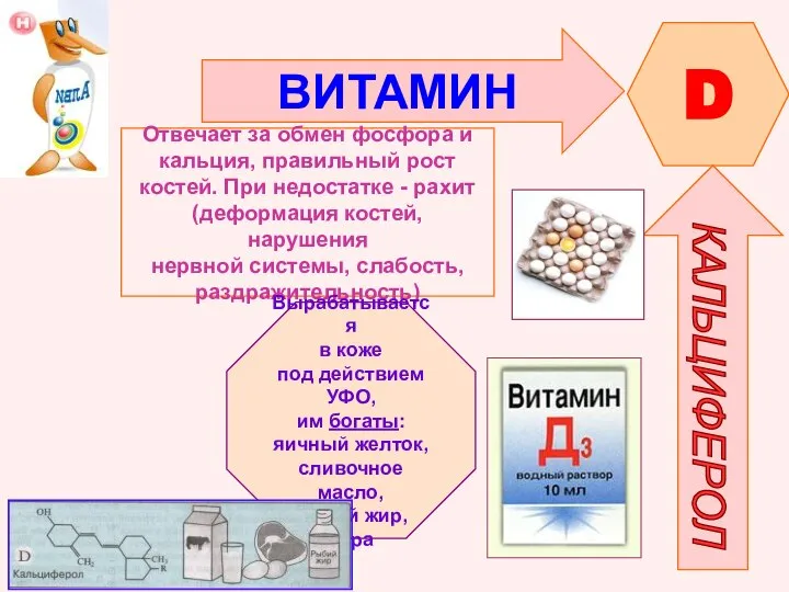 ВИТАМИН D КАЛЬЦИФЕРОЛ Отвечает за обмен фосфора и кальция, правильный рост