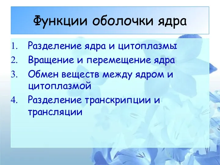 Функции оболочки ядра Разделение ядра и цитоплазмы Вращение и перемещение ядра