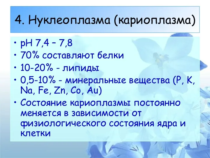 4. Нуклеоплазма (кариоплазма) рН 7,4 – 7,8 70% составляют белки 10-20%