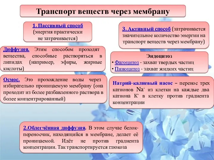 Транспорт веществ через мембрану 1. Пассивный способ (энергия практически не затрачивается)