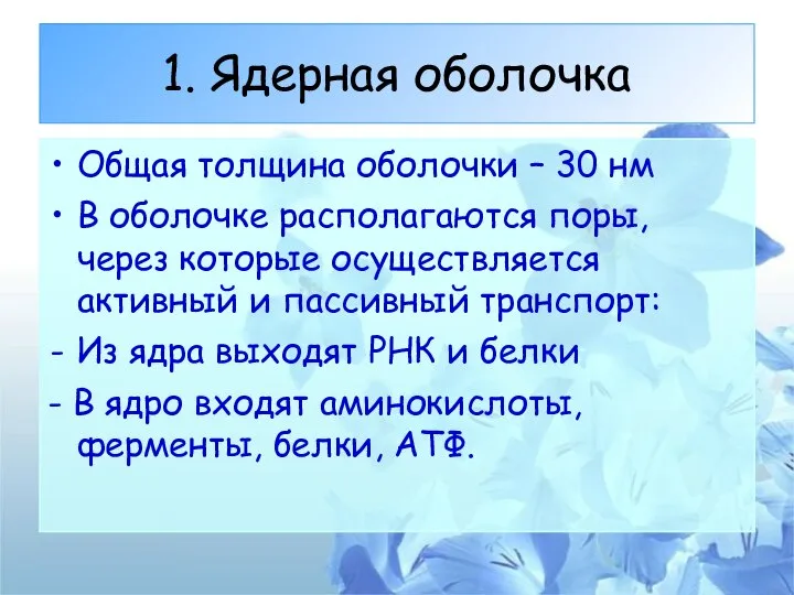 1. Ядерная оболочка Общая толщина оболочки – 30 нм В оболочке