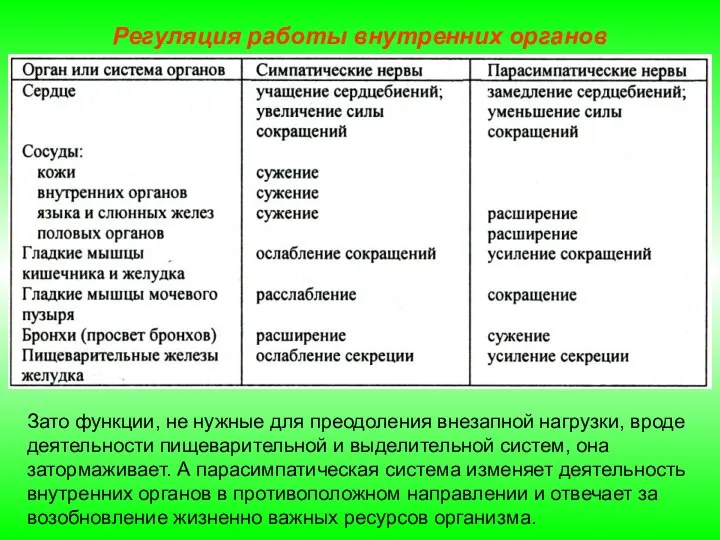 Регуляция работы внутренних органов Зато функции, не нужные для преодоления внезапной