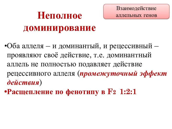 Оба аллеля – и доминантый, и рецессивный – проявляют своё действие,