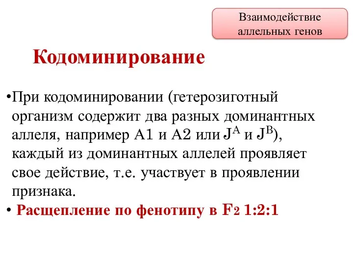 При кодоминировании (гетерозиготный организм содержит два разных доминантных аллеля, например А1