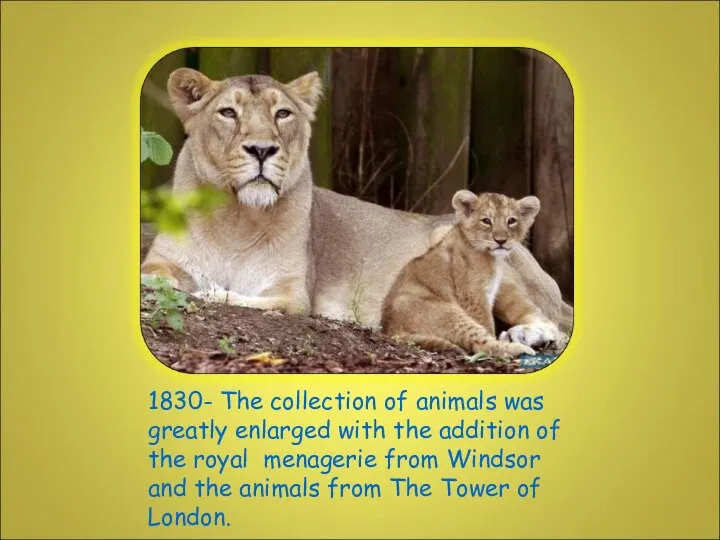 1830- The collection of animals was greatly enlarged with the addition