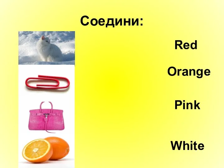 Соедини: White Orange Pink Red