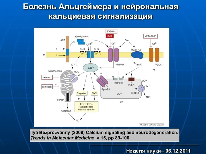 Ilya Bezprozvanny (2009) Calcium signaling and neurodegeneration. Trends in Molecular Medicine,