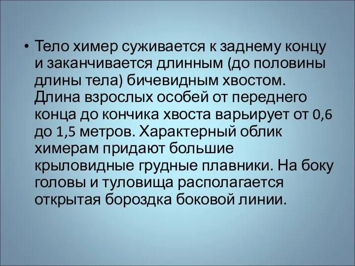 Тело химер суживается к заднему концу и заканчивается длинным (до половины