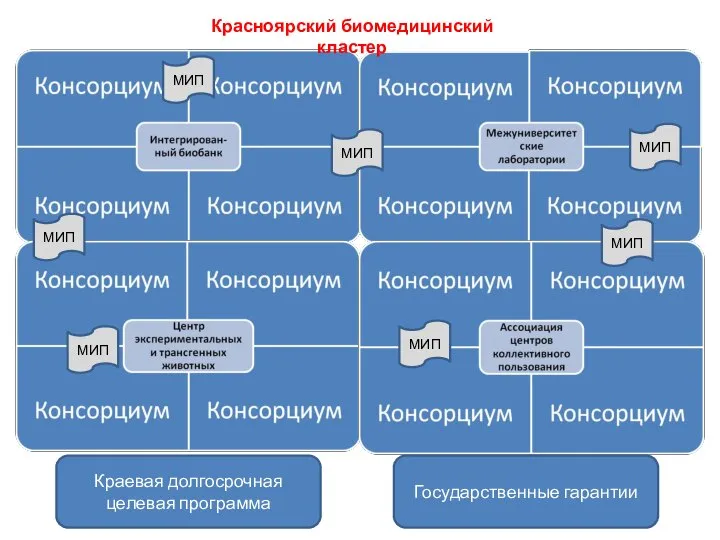 МИП МИП МИП МИП Красноярский биомедицинский кластер Краевая долгосрочная целевая программа Государственные гарантии МИП МИП МИП