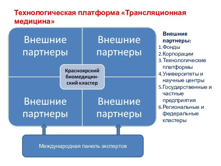 Технологическая платформа «Трансляционная медицина» Международная панель экспертов Внешние партнеры: Фонды Корпорации