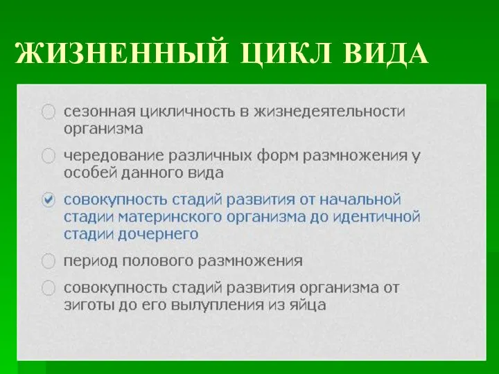 ЖИЗНЕННЫЙ ЦИКЛ ВИДА