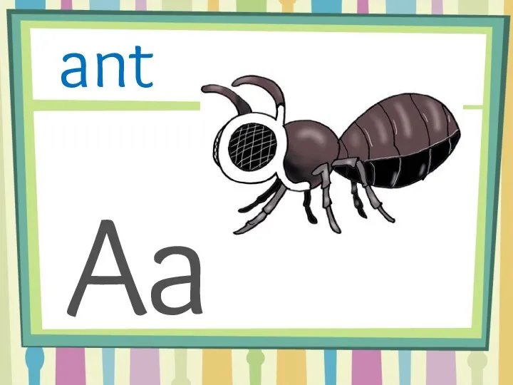 Aa ant