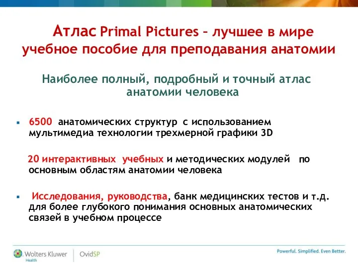Атлас Primal Pictures – лучшее в мире учебное пособие для преподавания