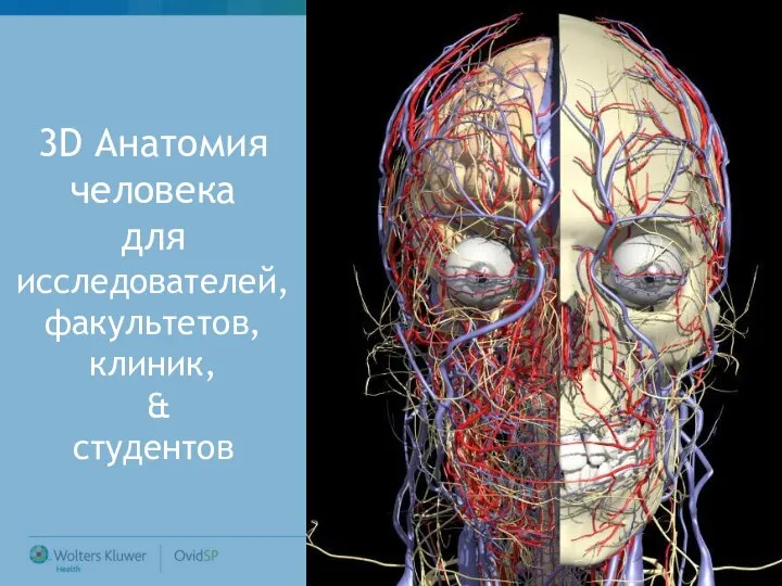 3D Анатомия человека для исследователей, факультетов, клиник, & студентов