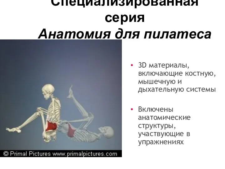 Специализированная серия Анатомия для пилатеса 3D материалы, включающие костную, мышечную и
