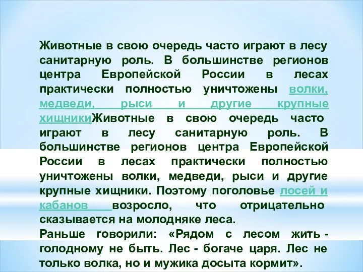 Животные в свою очередь часто играют в лесу санитарную роль. В