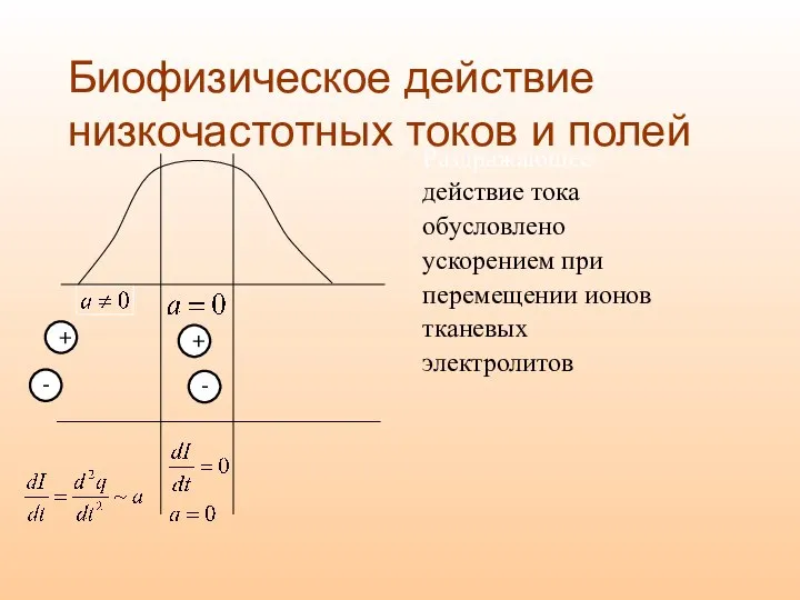 Биофизическое действие низкочастотных токов и полей Раздражающее действие тока обусловлено ускорением