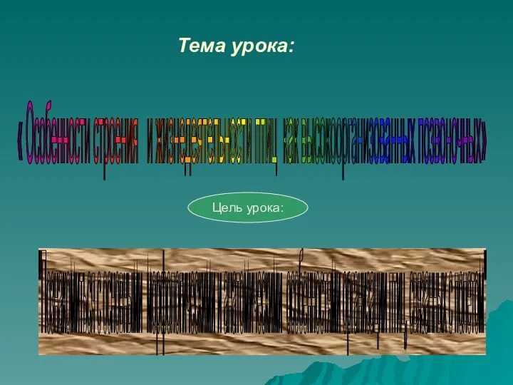 Тема урока: « Особенности строения и жизнедеятельности птиц как высокоорганизованных позвоночных»