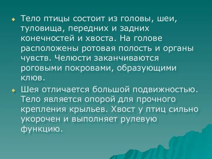 Тело птицы состоит из головы, шеи, туловища, передних и задних конечностей