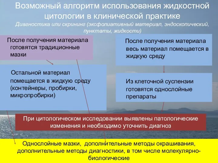 Возможный алгоритм использования жидкостной цитологии в клинической практике Диагностика или скрининг