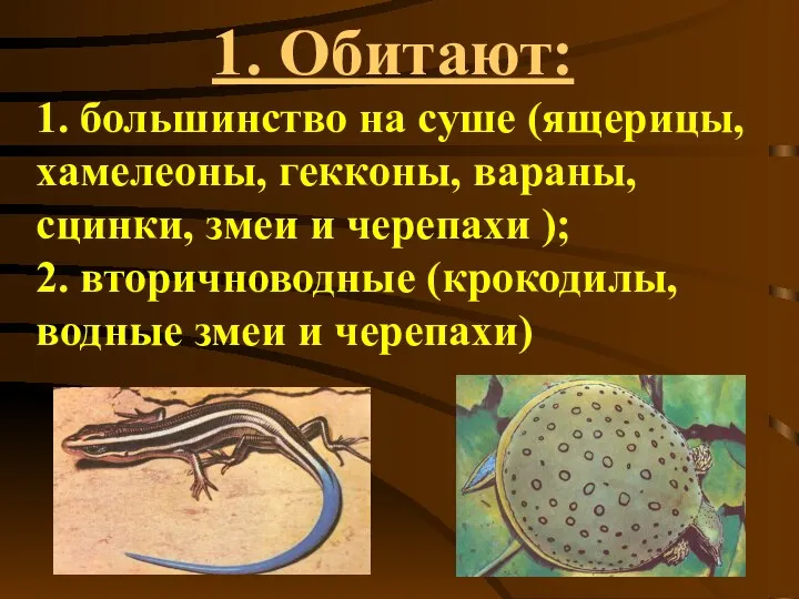 1. Обитают: 1. большинство на суше (ящерицы, хамелеоны, гекконы, вараны, сцинки,