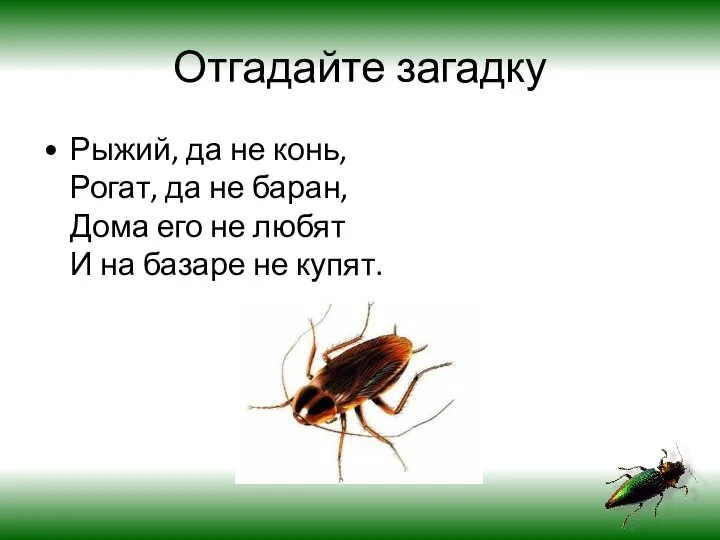 Отгадайте загадку Рыжий, да не конь, Рогат, да не баран, Дома