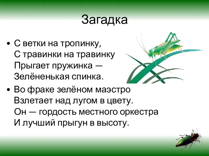 Загадка С ветки на тропинку, С травинки на травинку Прыгает пружинка