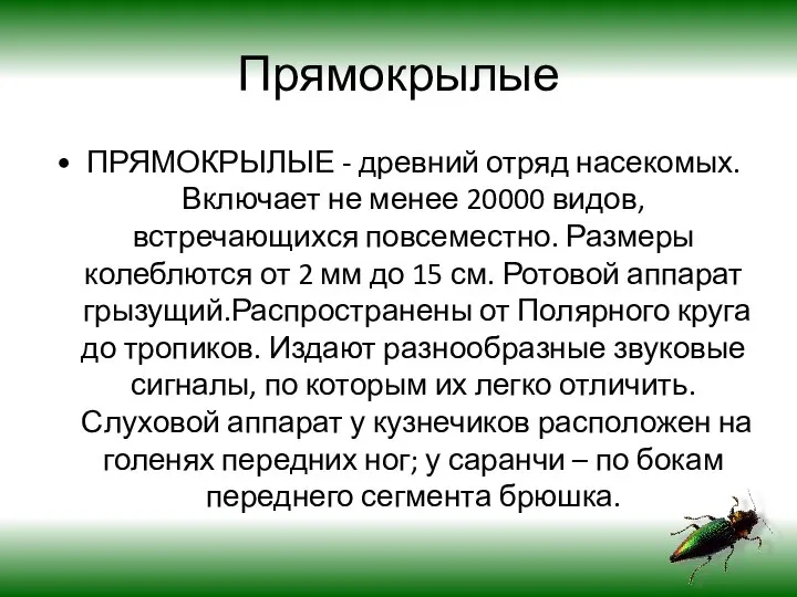 Прямокрылые ПРЯМОКРЫЛЫЕ - древний отряд насекомых. Включает не менее 20000 видов,