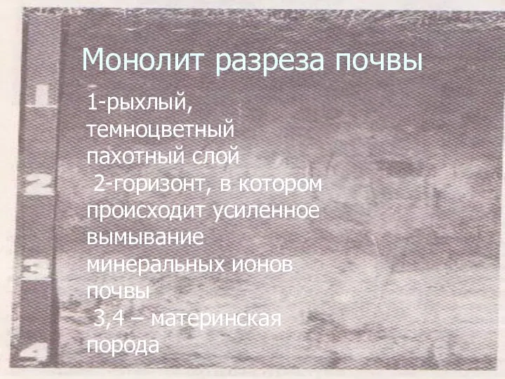 Монолит разреза почвы 1-рыхлый, темноцветный пахотный слой 2-горизонт, в котором происходит