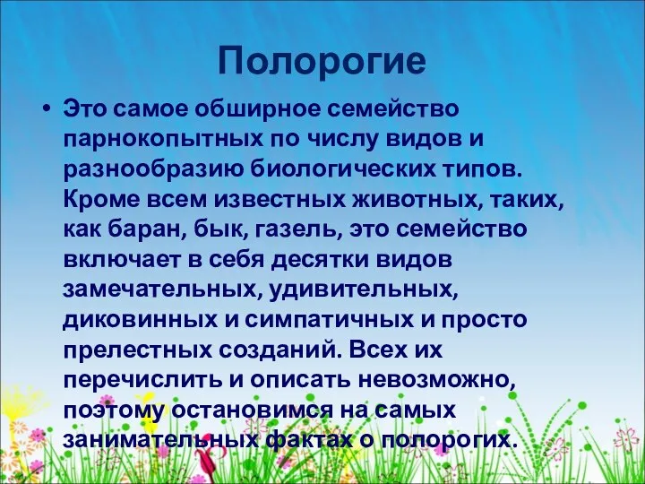 Полорогие Это самое обширное семейство парнокопытных по числу видов и разнообразию