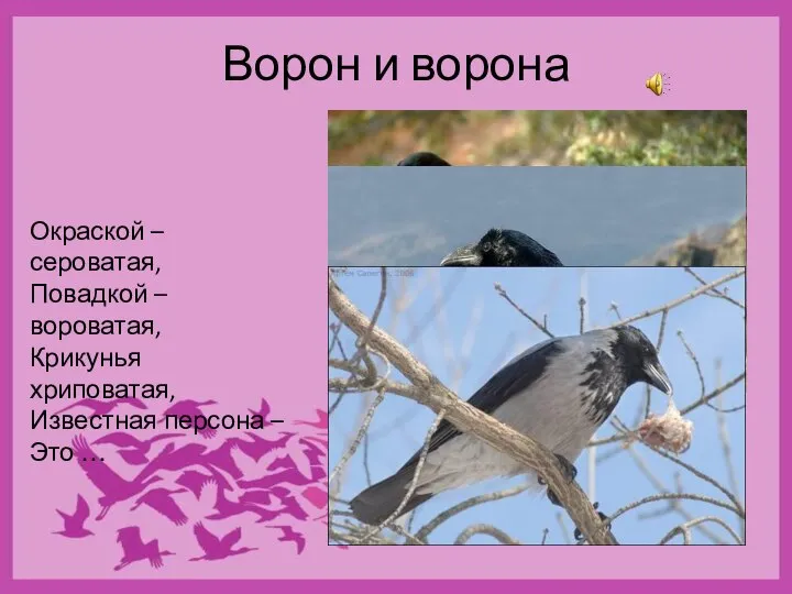 Ворон и ворона Окраской –сероватая, Повадкой – вороватая, Крикунья хриповатая, Известная персона – Это …