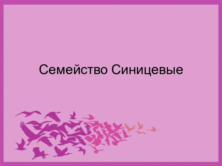 Семейство Синицевые