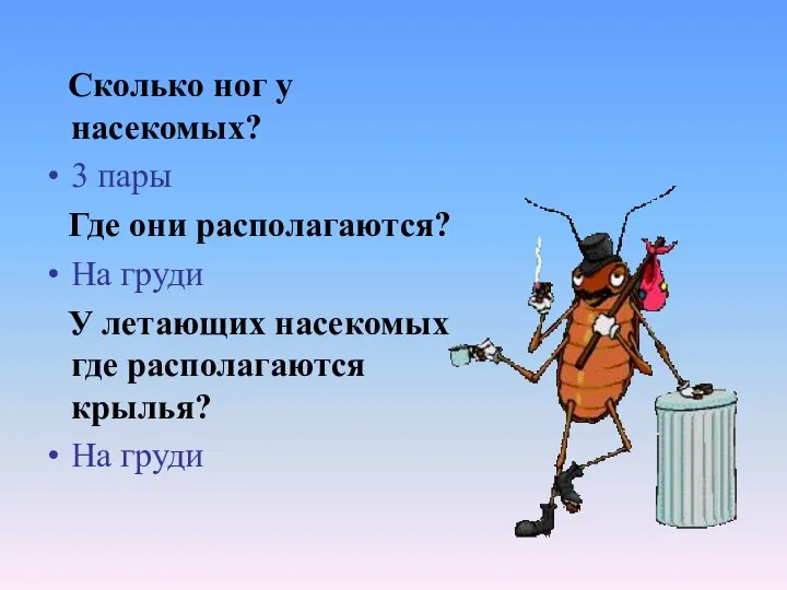 Сколько ног у насекомых? 3 пары Где они располагаются? На груди